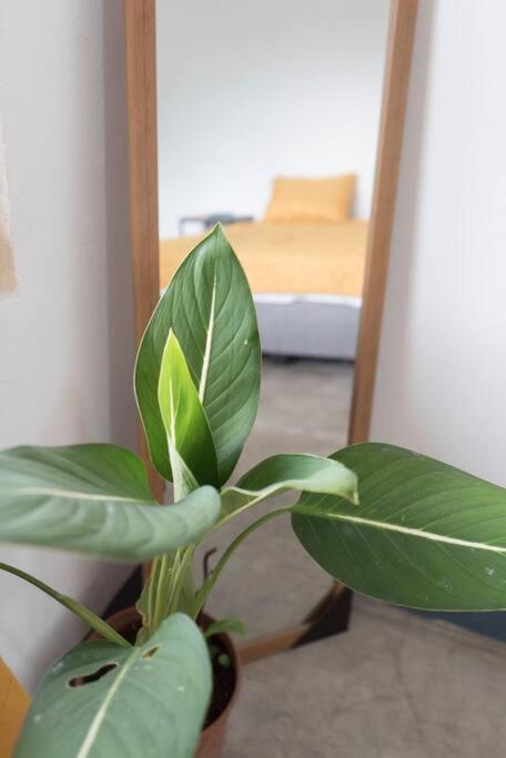 Nappo Room 2 Alajuela, Heredia,Sjo,5Min From Airport No Parking Guacima Exterior photo